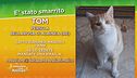 Ritroviamo Tom