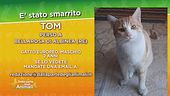 Ritroviamo Tom