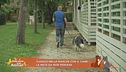 Viaggio nelle Marche con il cane