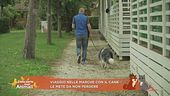 Viaggio nelle Marche con il cane