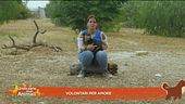 Volontari per amore