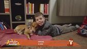 Come si dice ti voglio bene nella lingua dei cani?
