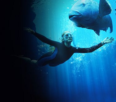 Blueback