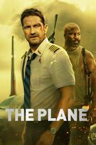 The plane