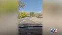 In diretta social come in autodromo