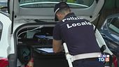 Dal Cdm nuove regole sul codice della strada