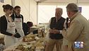 Gusto di Vino: vino e formaggi