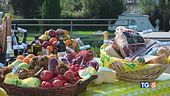 Dieta mediterranea, di meglio non c'è!