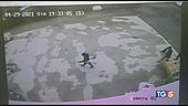 Dettagli agghiaccianti "Così Saman fu uccisa"
