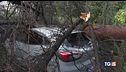 Trombe d'aria a nord Piogge al centro sud