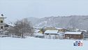 Neve e gelo, è allerta meteo