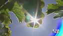 Temperature estive, ma siamo in autunno