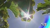 Temperature estive, ma siamo in autunno