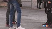 Bulli in azione Stop a violenze