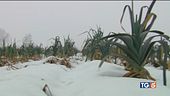 I giorni più freddi strage senzatetto
