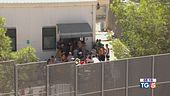 Il caso Apostolico divide la politica