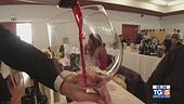 Gusto DiVino: il grande vino Amarone