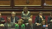 "Appoggio a Israele" Divise le opposizioni