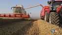 Caro frutta e verdura Agricoltori in piazza