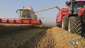 Caro frutta e verdura Agricoltori in piazza
