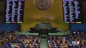 Stallo diplomatico Onu Cortei per la Palestina