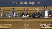 Tutelare gli animali battaglia di civiltà