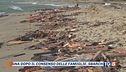 Governo a Cutro, lotta agli scafisti
