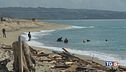 "Continuino ricerche" Lampedusa, è emergenza