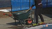 Siccità senza fine raccolti a rischio