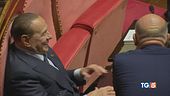 Berlusconi: "FI sarà più efficiente, la linea la decido io"