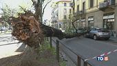 Tempesta di primavera tra danni e sos siccità