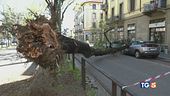 Tempesta di primavera tra danni e sos siccità