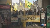 Bistecca sintetica l'Italia dice no
