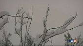 Neve d'aprile, ma Pasqua col sole