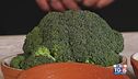Orecchiette con broccoli