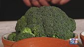 Orecchiette con broccoli