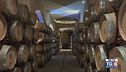 Gusto DiVino: Castello Monaci
