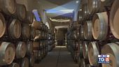 Gusto DiVino: Castello Monaci