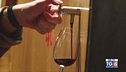 Gusto diVino: il Negramaro