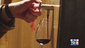 Gusto diVino: il Negramaro