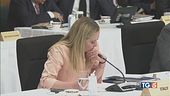 Frane, fango e insetti "Fondi per 2 miliardi"