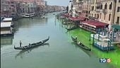 Venezia in verde resta il mistero