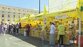 Sapori della Romagna per salvare le aziende