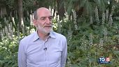 La Grande guerra in un libro di Giovanni Grasso
