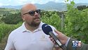 Gusto di Vino: il Verdicchio di Montagna