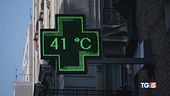 Allarme afa in 20 città
