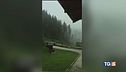 La tempesta sul Cadore Arriva il fulminometro