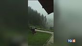 La tempesta sul Cadore Arriva il fulminometro