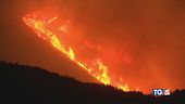 Incendi in Sicilia, sfiorati i 48 gradi