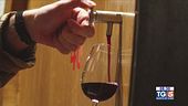 Gusto Di Vino - Il Negroamaro